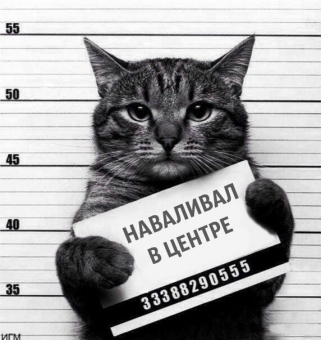 Владислав Карапузов