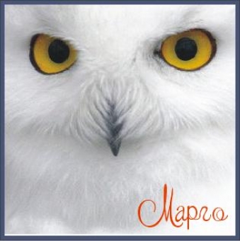 Марго